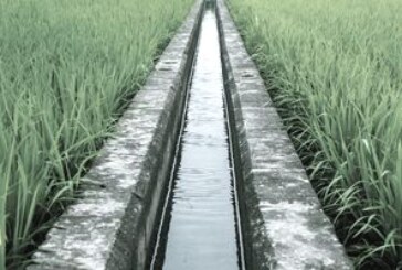 Irrigation