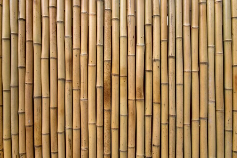 Bamboo | Concrete Civil Engineering