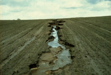 What do you understand about Soil Erosion??